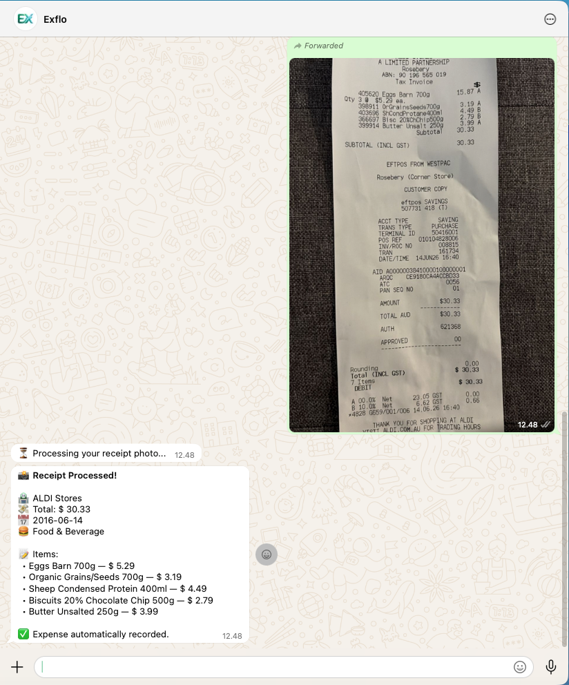 Exflo Scan Struk AI